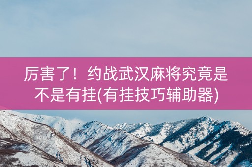 厉害了！约战武汉麻将究竟是不是有挂(有挂技巧辅助器)