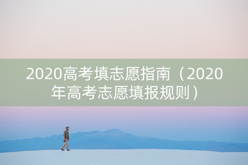 2020高考填志愿指南（2020年高考志愿填报规则）