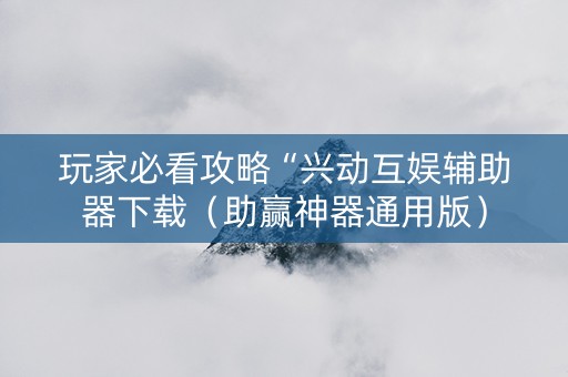 玩家必看攻略“兴动互娱辅助器下载（助赢神器通用版）