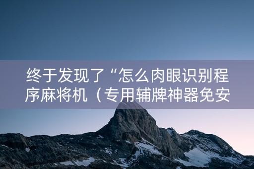终于发现了“怎么肉眼识别程序麻将机（专用辅牌神器免安装）