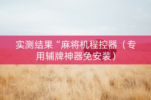 实测结果“麻将机程控器（专用辅牌神器免安装）
