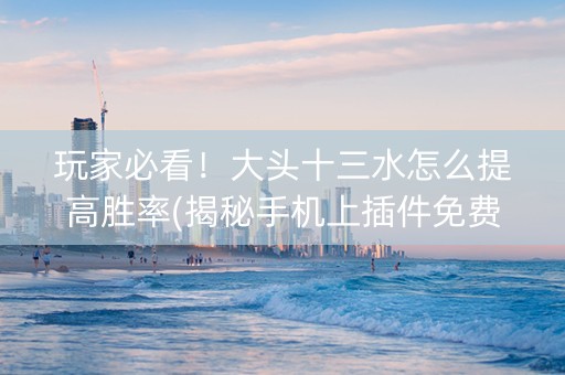 玩家必看！大头十三水怎么提高胜率(揭秘手机上插件免费)