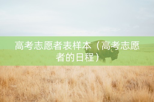 高考志愿者表样本（高考志愿者的日程）