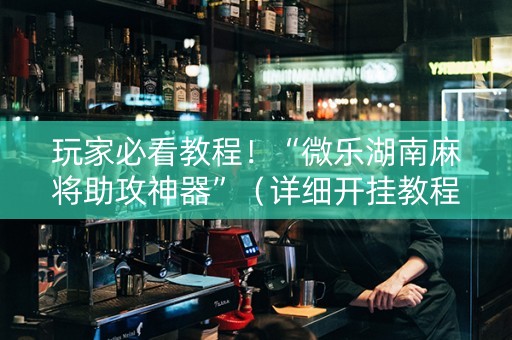 玩家必看教程！“微乐湖南麻将助攻神器”（详细开挂教程）-哔哩哔哩