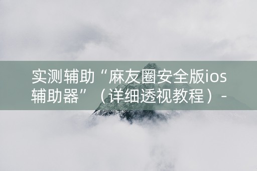 实测辅助“麻友圈安全版ios辅助器”（详细透视教程）-哔哩哔哩
