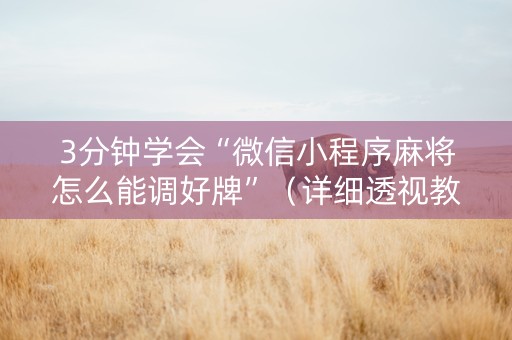 3分钟学会“微信小程序麻将怎么能调好牌”（详细透视教程）-哔哩哔哩