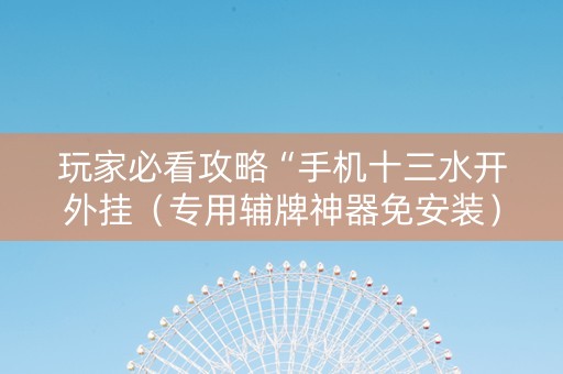 玩家必看攻略“手机十三水开外挂（专用辅牌神器免安装）