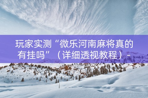玩家实测“微乐河南麻将真的有挂吗”（详细透视教程）-哔哩哔哩