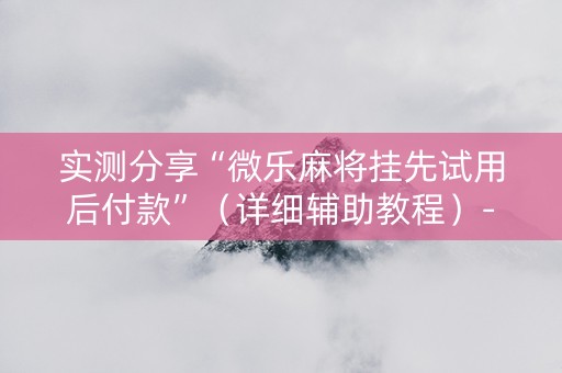 实测分享“微乐麻将挂先试用后付款”（详细辅助教程）-哔哩哔哩