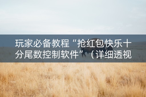 玩家必备教程“抢红包快乐十分尾数控制软件”（详细透视教程）-哔哩哔哩