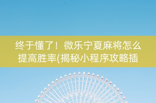 终于懂了！微乐宁夏麻将怎么提高胜率(揭秘小程序攻略插件)