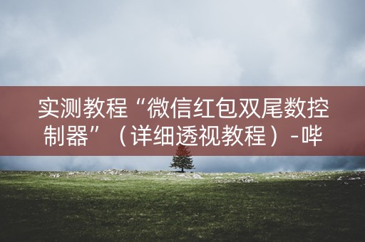 实测教程“微信红包双尾数控制器”（详细透视教程）-哔哩哔哩