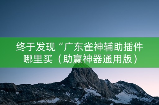 终于发现“广东雀神辅助插件哪里买（助赢神器通用版）