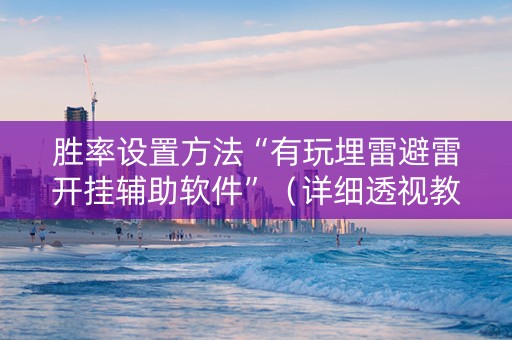 胜率设置方法“有玩埋雷避雷开挂辅助软件”（详细透视教程）-哔哩哔哩