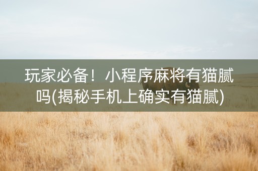 玩家必备！小程序麻将有猫腻吗(揭秘手机上确实有猫腻)