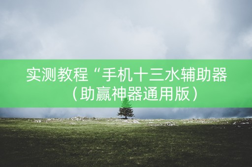 实测教程“手机十三水辅助器（助赢神器通用版）