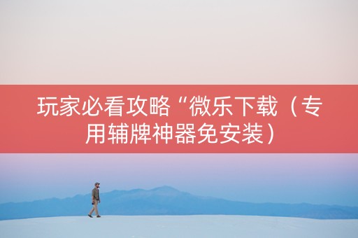 玩家必看攻略“微乐下载（专用辅牌神器免安装）