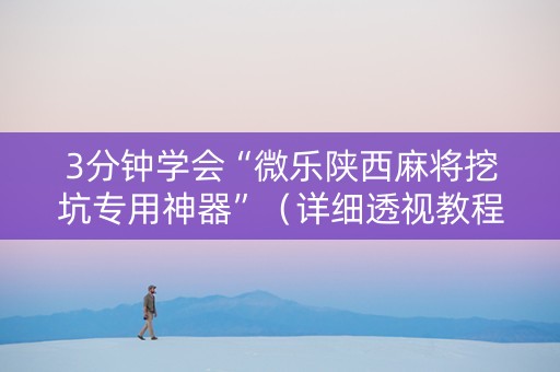 3分钟学会“微乐陕西麻将挖坑专用神器”（详细透视教程）-哔哩哔哩