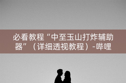 必看教程“中至玉山打炸辅助器”（详细透视教程）-哔哩哔哩