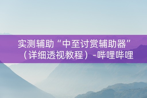 实测辅助“中至讨赏辅助器”（详细透视教程）-哔哩哔哩