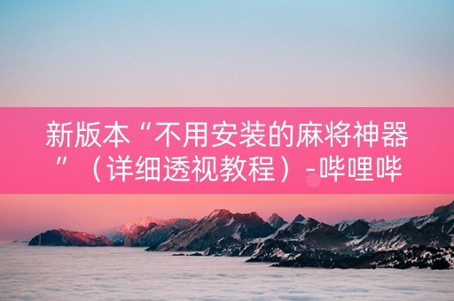 新版本“不用安装的麻将神器”（详细透视教程）-哔哩哔哩