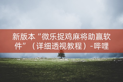 新版本“微乐捉鸡麻将助赢软件”（详细透视教程）-哔哩哔哩