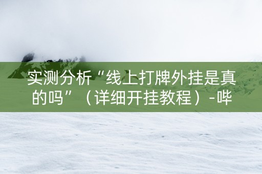 实测分析“线上打牌外挂是真的吗”（详细开挂教程）-哔哩哔哩