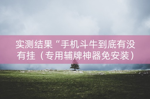 实测结果“手机斗牛到底有没有挂（专用辅牌神器免安装）