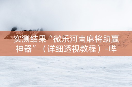 实测结果“微乐河南麻将助赢神器”（详细透视教程）-哔哩哔哩