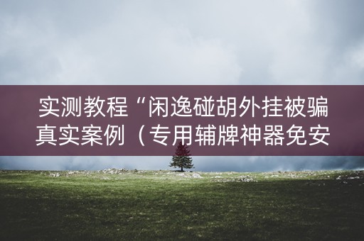实测教程“闲逸碰胡外挂被骗真实案例（专用辅牌神器免安装）