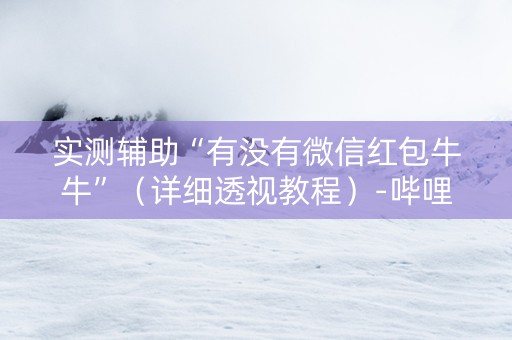 实测辅助“有没有微信红包牛牛”（详细透视教程）-哔哩哔哩