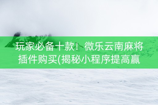 玩家必备十款！微乐云南麻将插件购买(揭秘小程序提高赢的概率)