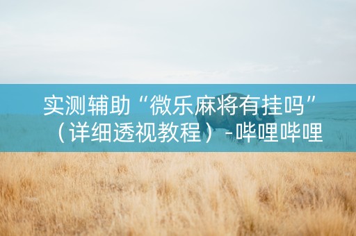 实测辅助“微乐麻将有挂吗”（详细透视教程）-哔哩哔哩