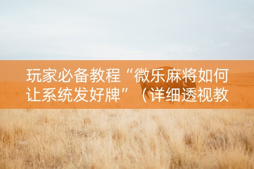 玩家必备教程“微乐麻将如何让系统发好牌”（详细透视教程）-哔哩哔哩