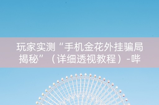 玩家实测“手机金花外挂骗局揭秘”（详细透视教程）-哔哩哔哩