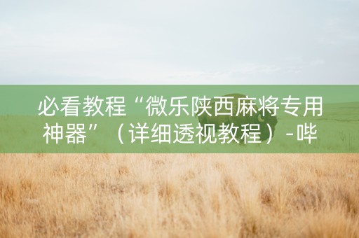 必看教程“微乐陕西麻将专用神器”（详细透视教程）-哔哩哔哩