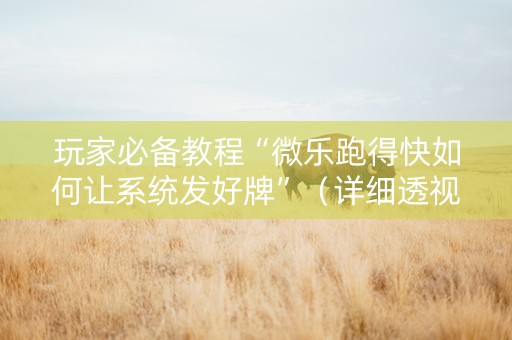 玩家必备教程“微乐跑得快如何让系统发好牌”（详细透视教程）-哔哩哔哩