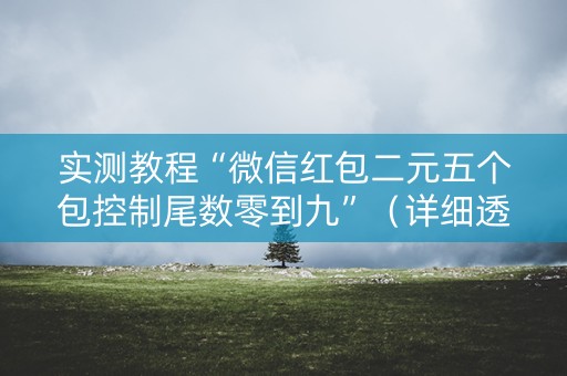 实测教程“微信红包二元五个包控制尾数零到九”（详细透视教程）-哔哩哔哩