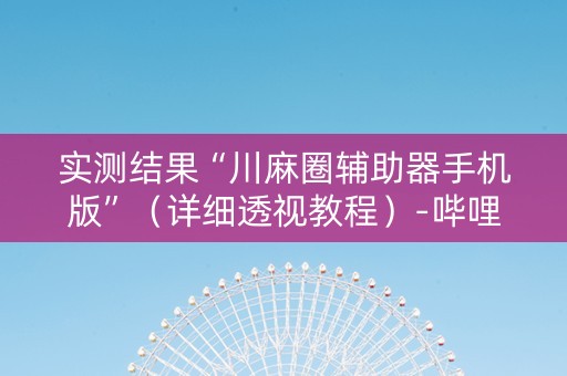 实测结果“川麻圈辅助器手机版”（详细透视教程）-哔哩哔哩