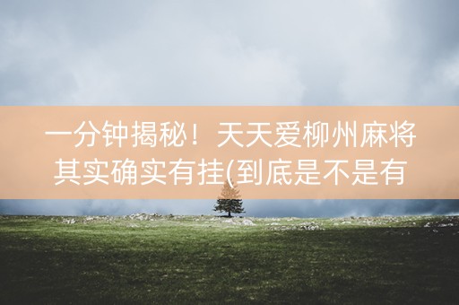 一分钟揭秘！天天爱柳州麻将其实确实有挂(到底是不是有挂)