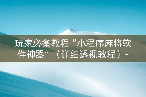 玩家必备教程“小程序麻将软件神器”（详细透视教程）-哔哩哔哩