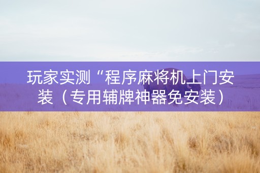 玩家实测“程序麻将机上门安装（专用辅牌神器免安装）