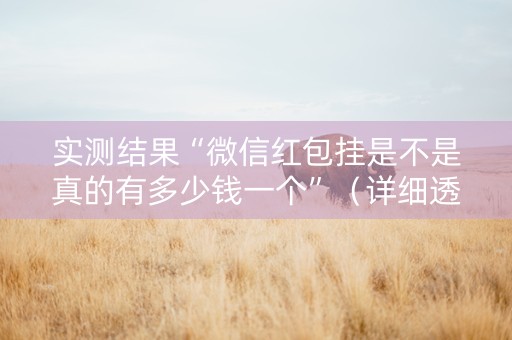 实测结果“微信红包挂是不是真的有多少钱一个”（详细透视教程）-哔哩哔哩
