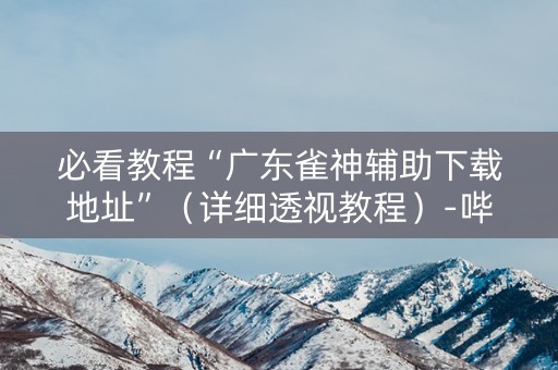 必看教程“广东雀神辅助下载地址”（详细透视教程）-哔哩哔哩