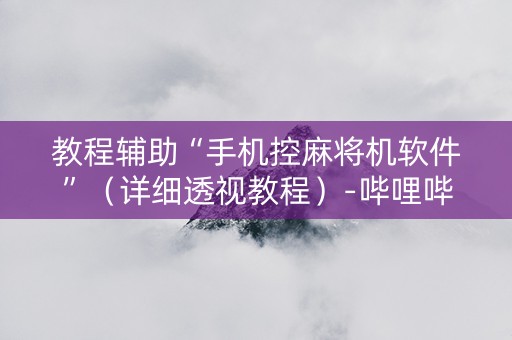 教程辅助“手机控麻将机软件”（详细透视教程）-哔哩哔哩