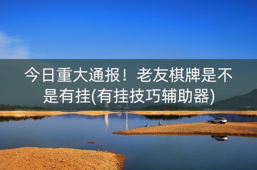今日重大通报！老友棋牌是不是有挂(有挂技巧辅助器)