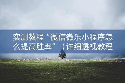 实测教程“微信微乐小程序怎么提高胜率”（详细透视教程）-哔哩哔哩