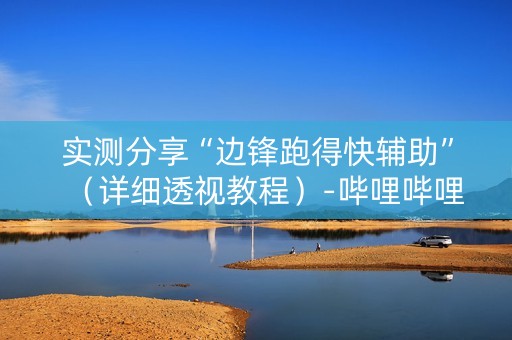 实测分享“边锋跑得快辅助”（详细透视教程）-哔哩哔哩