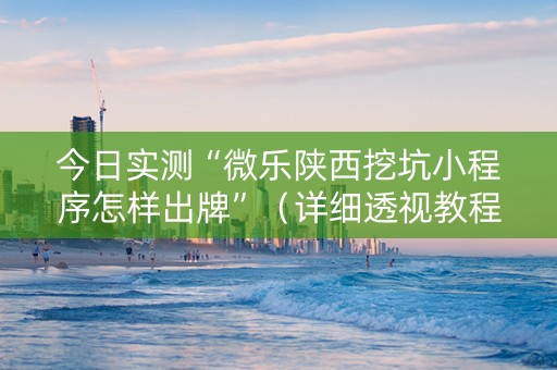 今日实测“微乐陕西挖坑小程序怎样出牌”（详细透视教程）-哔哩哔哩