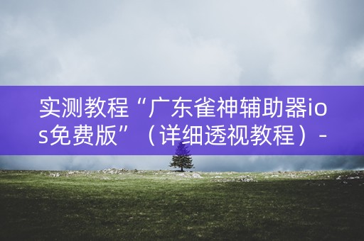 实测教程“广东雀神辅助器ios免费版”（详细透视教程）-哔哩哔哩